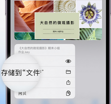 石泉apple维修中心分享iPhone文件应用中存储和找到下载文件