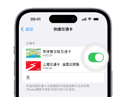 石泉apple维修点分享iPhone上更换Apple Pay快捷交通卡手绘卡面 