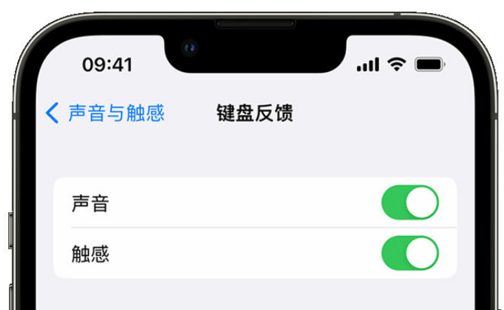 石泉苹果手机维修分享iPhone 14触感键盘使用方法 