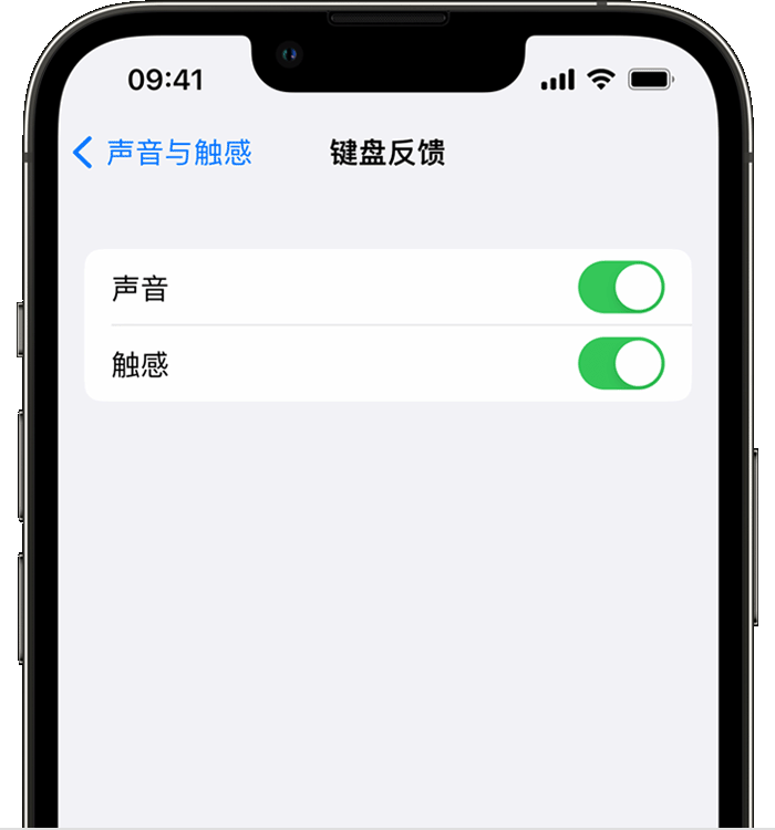 石泉苹果14维修店分享如何在 iPhone 14 机型中使用触感键盘 