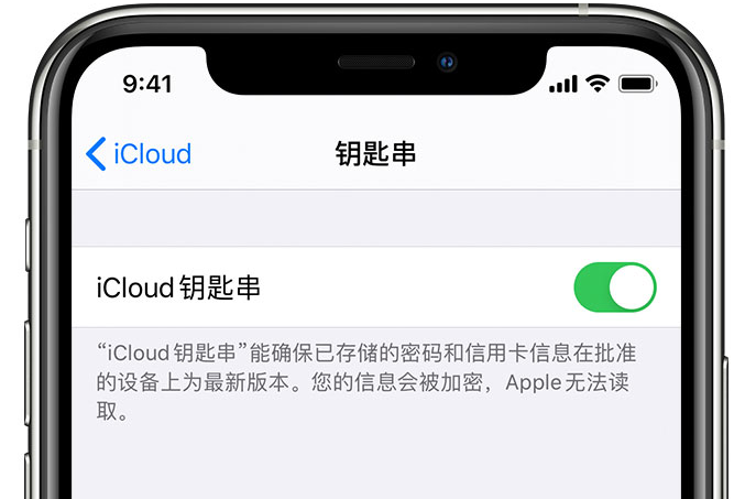 石泉苹果手机维修分享在 iPhone 上开启 iCloud 钥匙串之后会储存哪些信息 