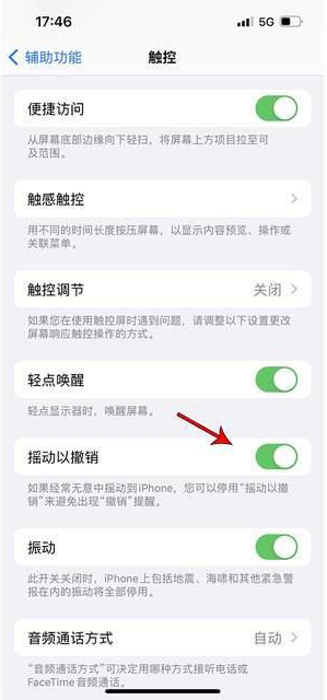 石泉苹果手机维修分享iPhone手机如何设置摇一摇删除文字 